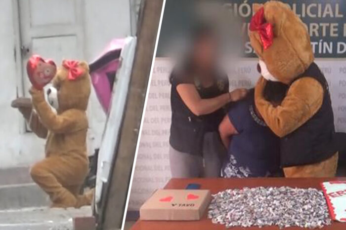Insolito: policia se disfraza de oso en San Valentin para detener a presunta narco : Noticias de