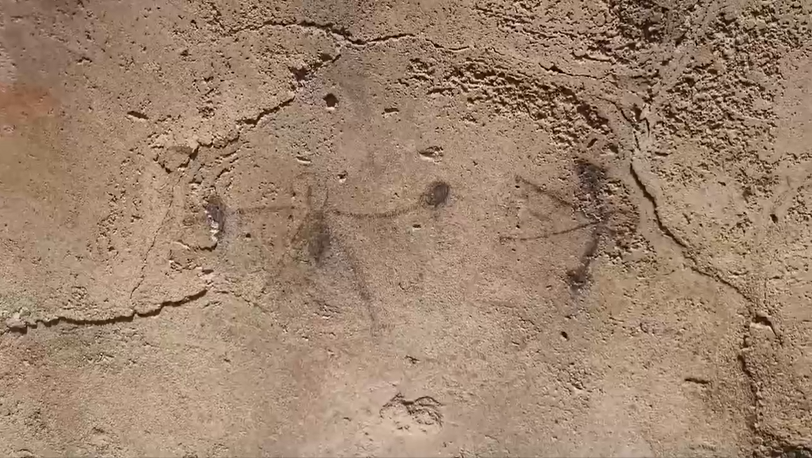 La Policia italiana incauta 50 obras falsas de Warhol o Miro que se vendian por television : Internacional de