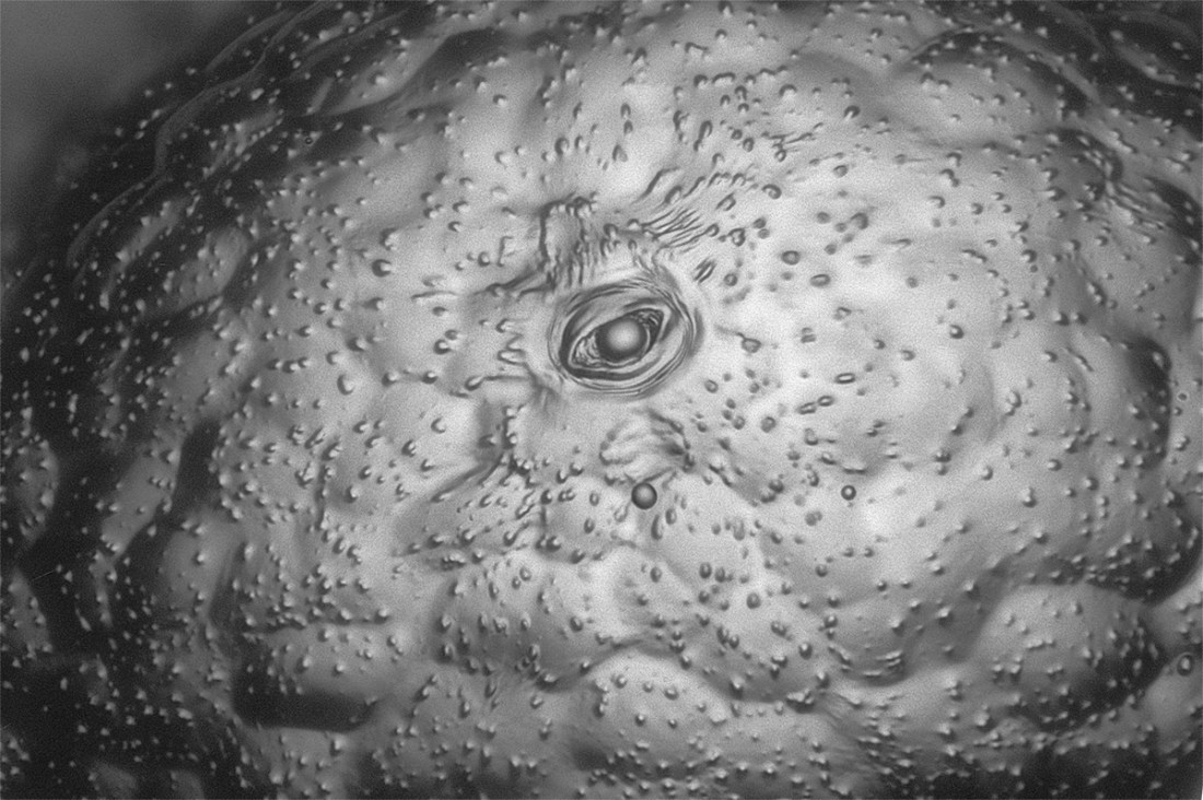 Esto es un ojo, ¿puedes adivinar de que? Mira las mejores fotos microscopicas del año : Noticias de